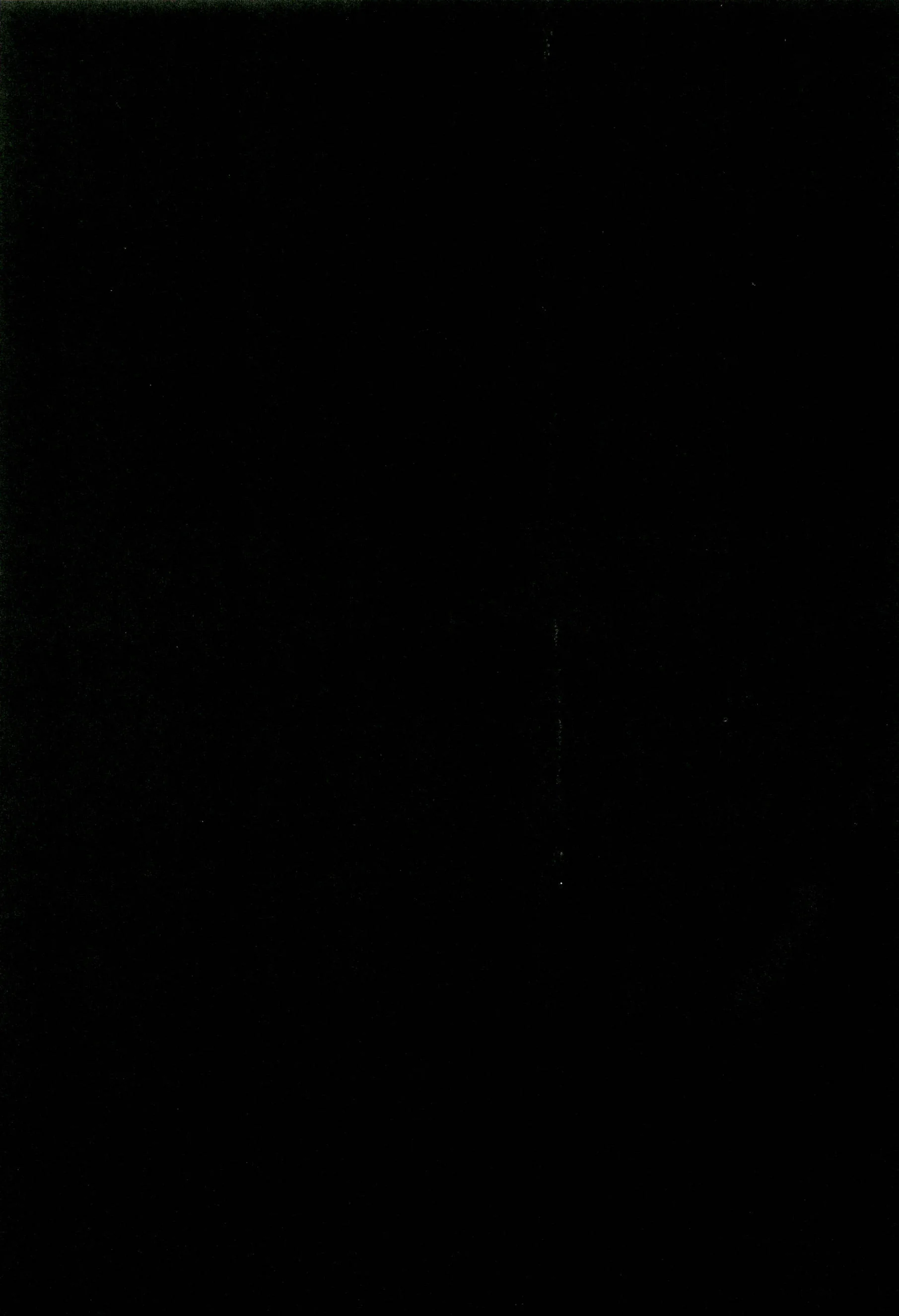 Another 02 (325).webp