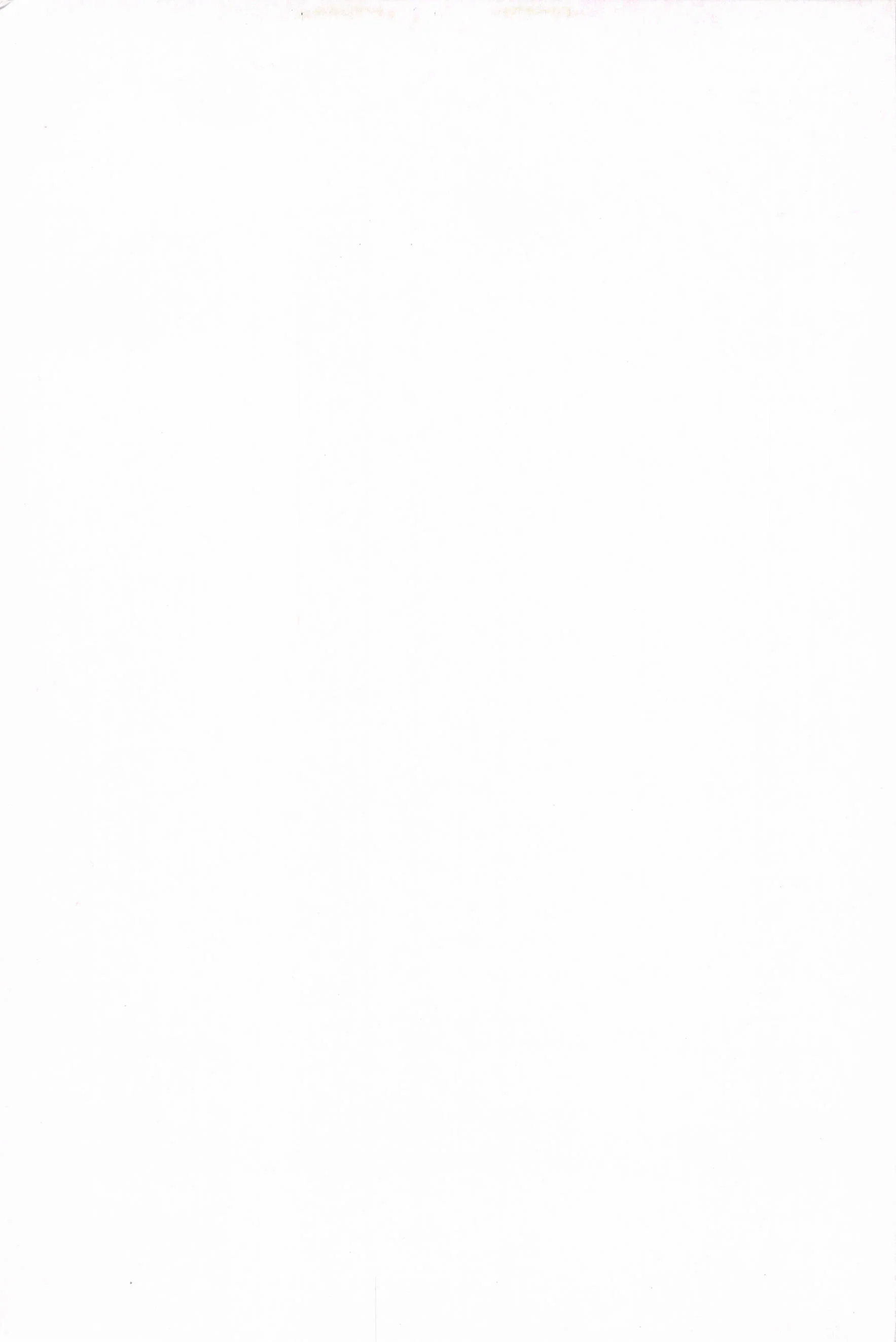 Another 02 (367).webp