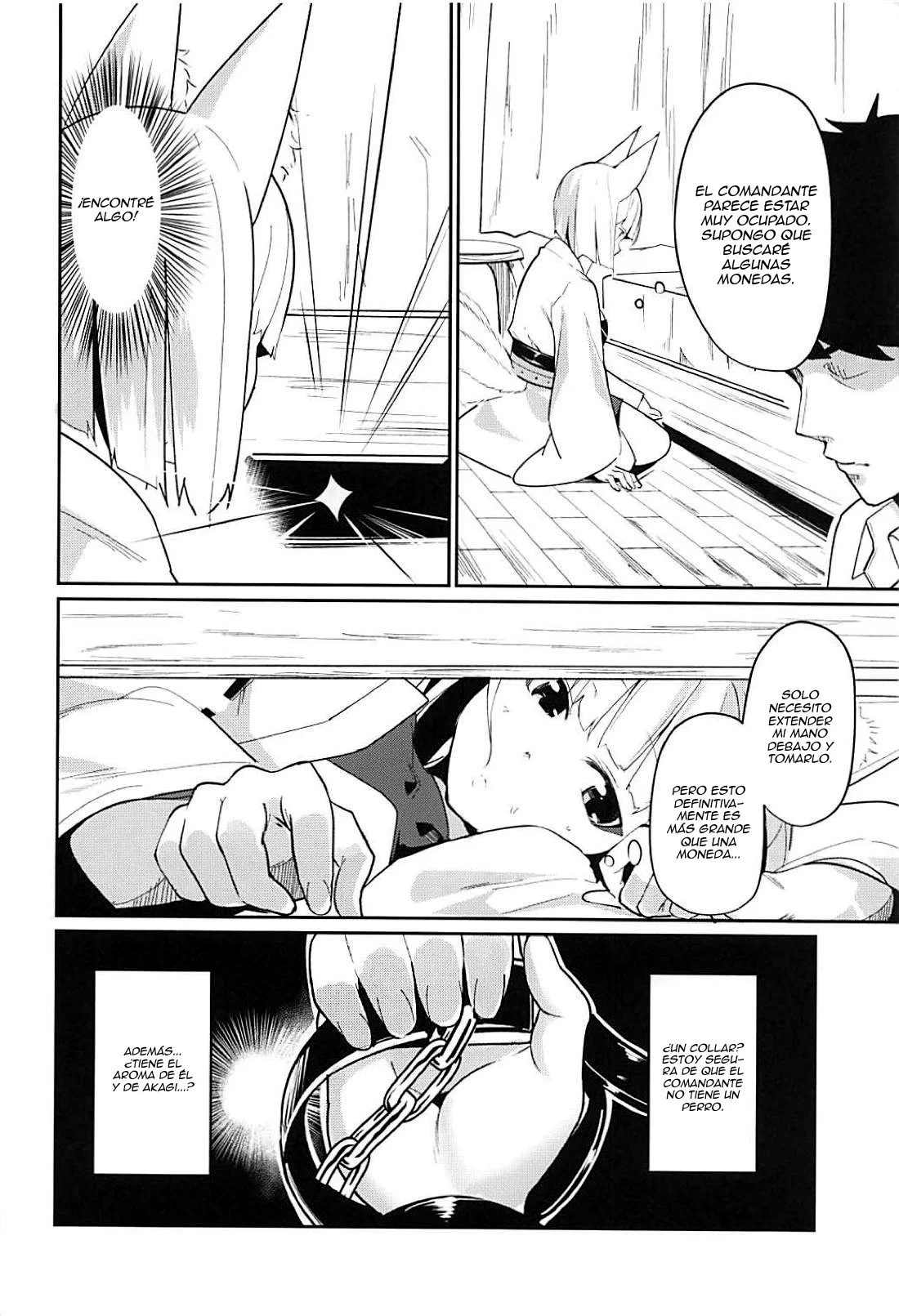 Pet-na-Kaga-03.webp