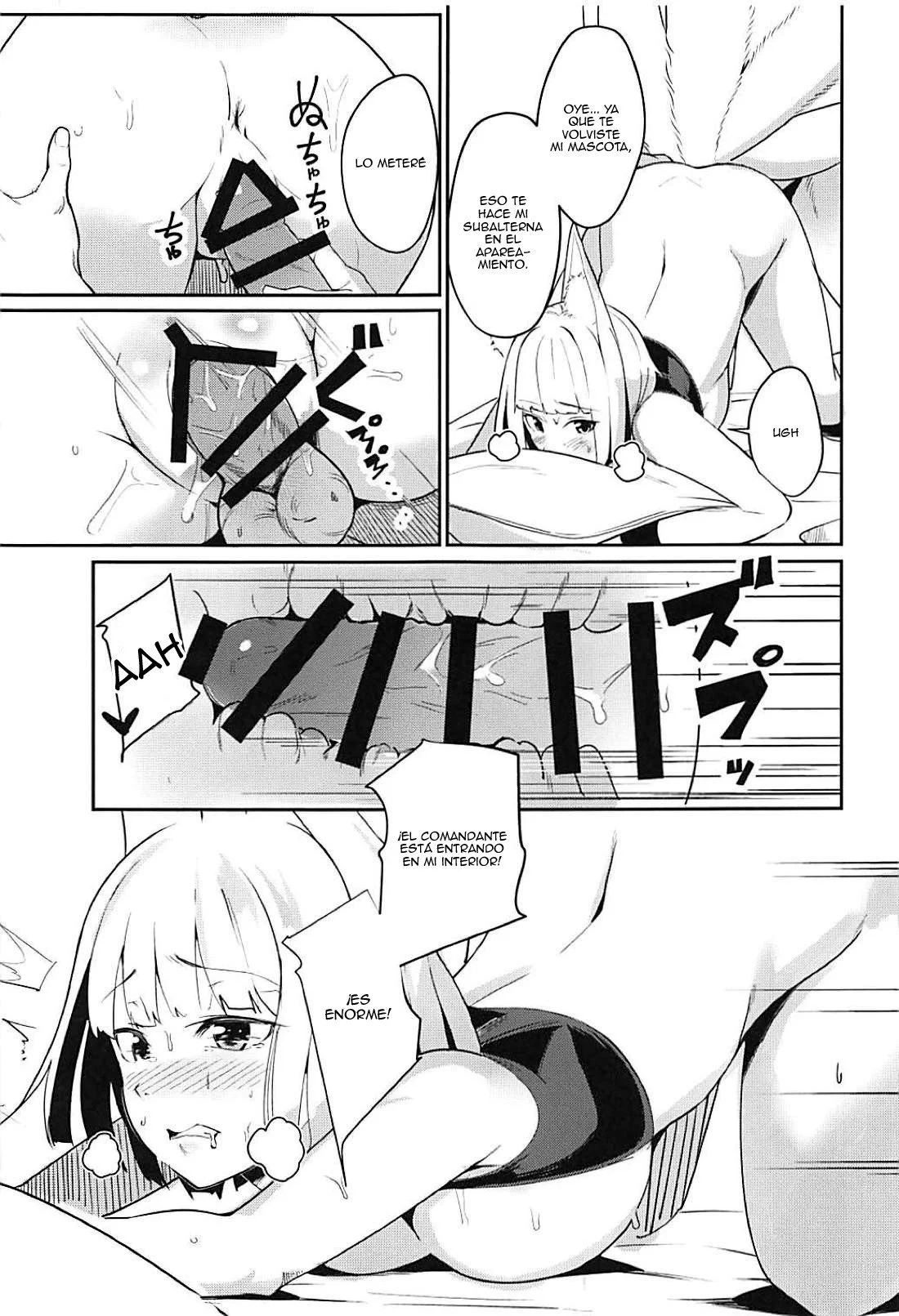 Pet-na-Kaga-10.webp