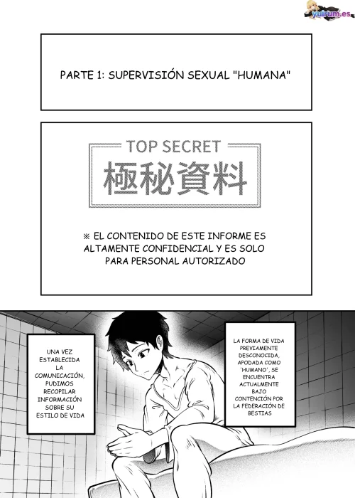 04.webp