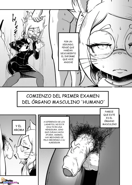 08.webp