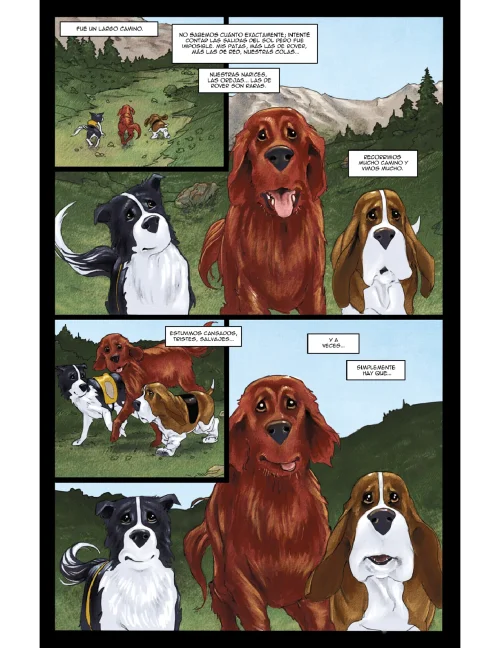 105.webp