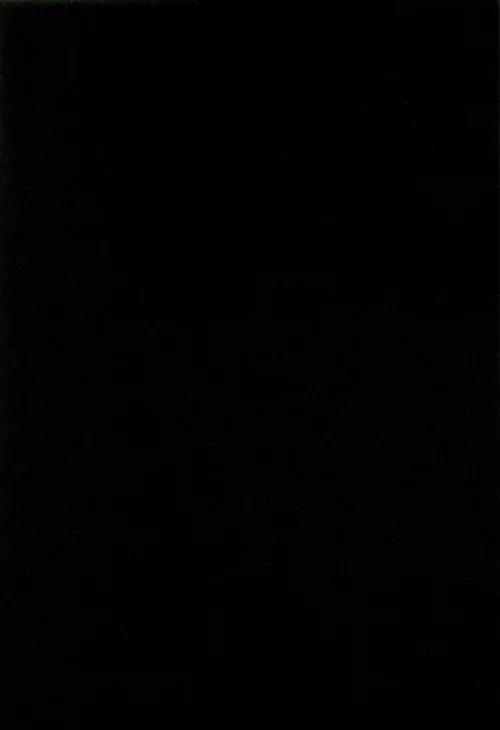 Another 02 (254).webp