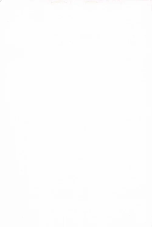 Another 02 (367).webp