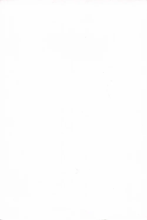 Another 03 (365).webp